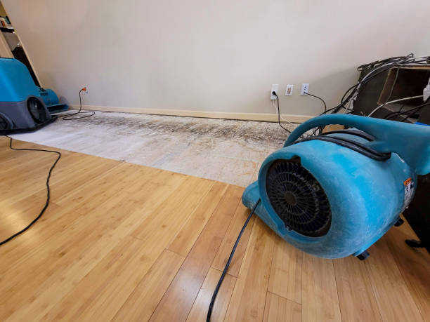 Professional Sewage Cleanup technician working in Hillsborough, NH